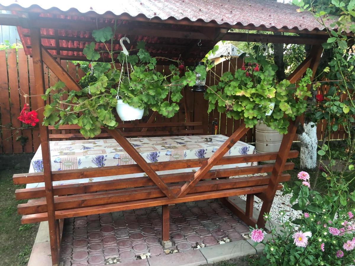 Casa Todea Hotel Cîmpeni Eksteriør billede