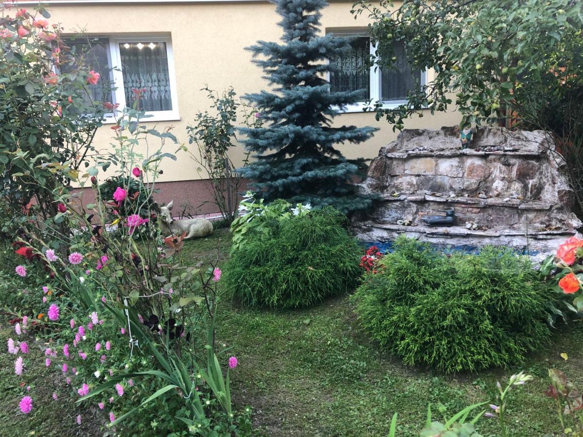 Casa Todea Hotel Cîmpeni Eksteriør billede